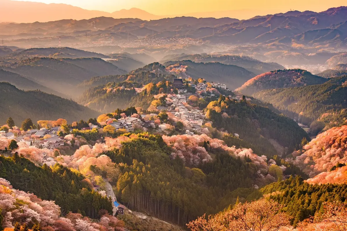 Sakura 2 Monte Yoshino en primavera