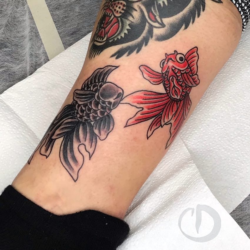 Tatuaje de Pareja de Peces Dorados – Kingyo Caroli Dilli 2 Tatuaje de Pareja de Peces Dorados - Kingyo - Tatuaje de Peces Dorados - Kingyo