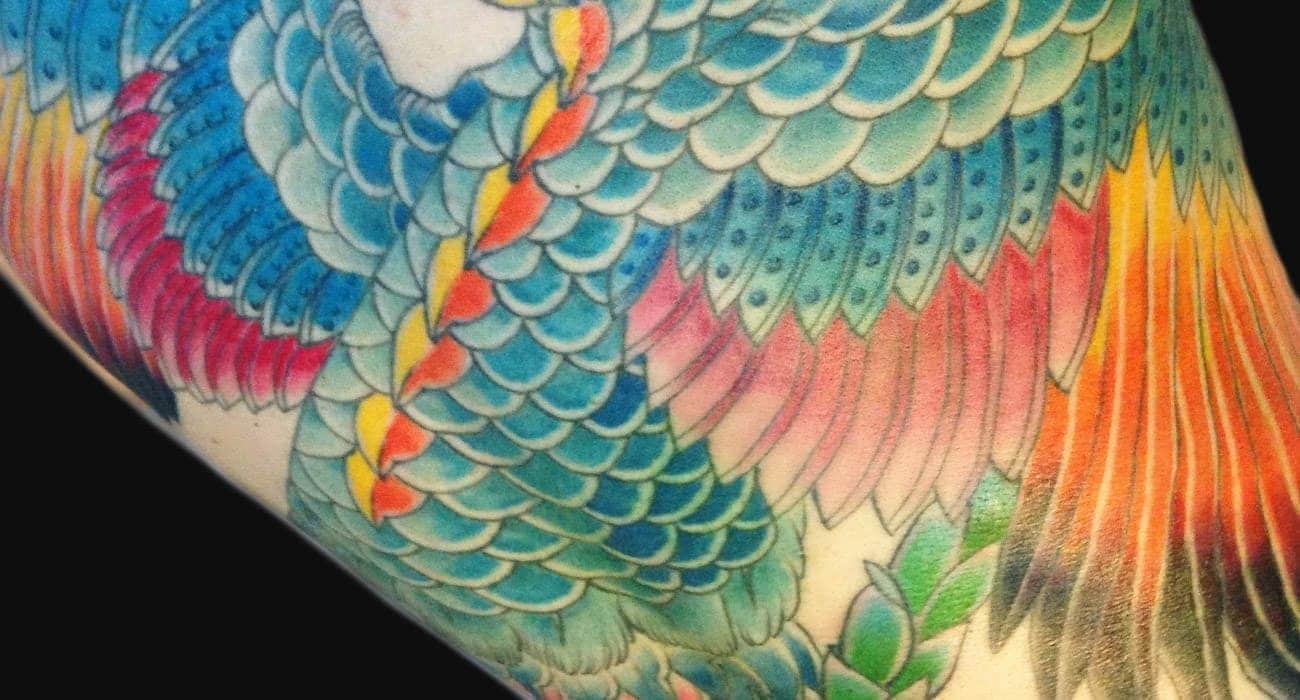Tatuaje de Fénix 3 fenix detalles3 Tatuaje de Fénix - Tatuaje de Fénix